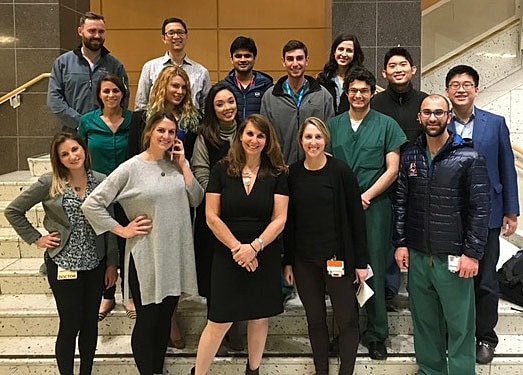 Diverse group of professionals posing on stairs.